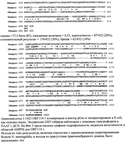 Антигены neisseria meningitidis (патент 2343159)