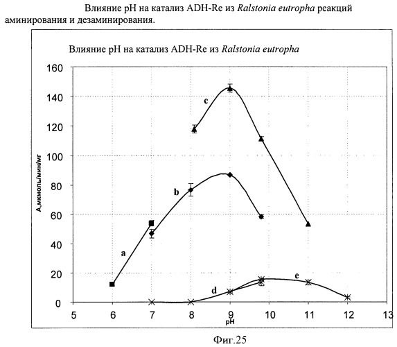 Бактерия семейства enterobacteriaceae - продуцент l-аспарагиновой кислоты или метаболитов, производных l-аспарагиновой кислоты, и способ получения l-аспарагиновой кислоты или метаблитов, производных l-аспарагиновой кислоты (патент 2472853)