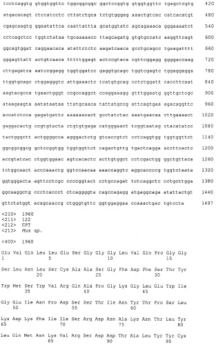 Pscaxcd3, cd19xcd3, c-metxcd3, эндосиалинxcd3, epcamxcd3, igf-1rxcd3 или fap-альфаxcd3 биспецифическое одноцепочечное антитело с межвидовой специфичностью (патент 2547600)