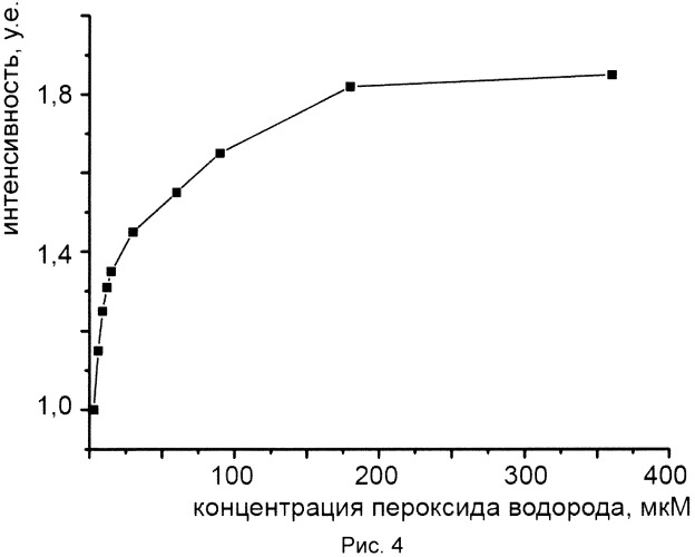 Красный флуоресцентный биосенсор для детекции пероксида водорода в живых клетках (патент 2535336)