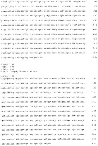 Стабильные иммуногенные композиции антигенов staphylococcus aureus (патент 2570730)