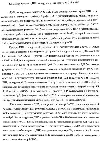 Вариант еро, обладающий повышенным сродством связывания с рецептором и сниженным антигенным потенциалом, днк, кодирующая такой вариант еро, рекомбинантный экспрессионный вектор, содержащий такую днк, клетка-хозяин, трансформированная или трансфектированная таким вектором, способ получения такого варианта еро и фармацевтическая композиция, содержащая такой вариант еро (патент 2432360)