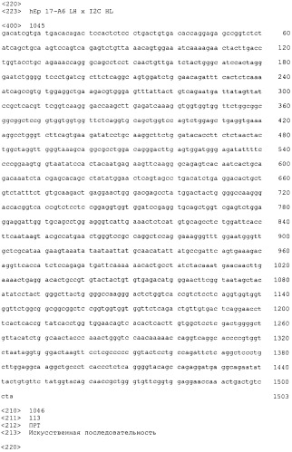 Pscaxcd3, cd19xcd3, c-metxcd3, эндосиалинxcd3, epcamxcd3, igf-1rxcd3 или fap-альфаxcd3 биспецифическое одноцепочечное антитело с межвидовой специфичностью (патент 2547600)