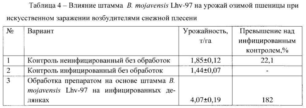 Штамм bacillus mojavensis lhv-97, обладающий фунгицидной и бактерицидной активностью (патент 2648163)