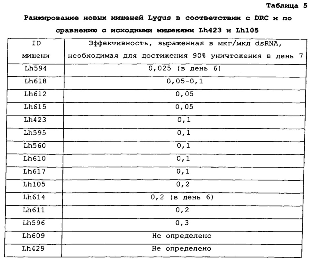 Подавление экспрессии генов у насекомых-вредителей (патент 2665549)