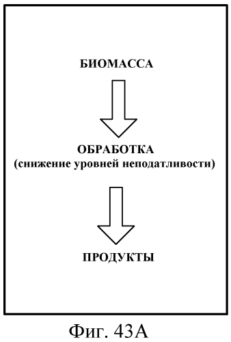 Переработка биомассы (патент 2560426)