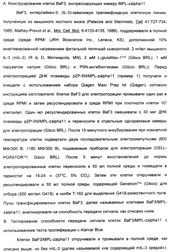 Выделенный полипептид, связывающий рецептор zalpha11-лиганда (варианты), кодирующий его полинуклеотид (варианты), вектор экспрессии (варианты) и клетка-хозяин (варианты) (патент 2346951)