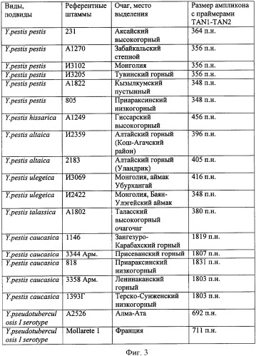 Способ дифференциации чумного и псевдотуберкулезного микробов с одновременной внутривидовой дифференциацией штаммов чумного микроба (патент 2332464)