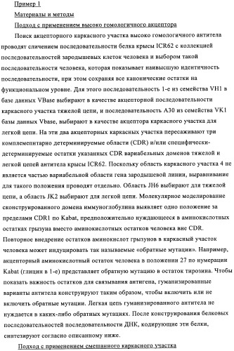 Антигенсвязывающие молекулы, которые связывают рецептор эпидермального фактора роста (egfr), кодирующие их векторы и их применение (патент 2457219)