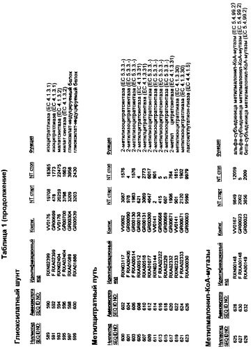 Гены corynebacterium glutamicum, кодирующие белки, участвующие в метаболизме углерода и продуцировании энергии (патент 2310686)