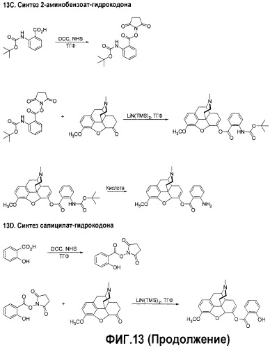 Конъюгаты гидрокодона с бензойной кислотой, производными бензойной кислоты и гетероарилкарбоновой кислотой, пролекарства, способы их получения и их применение (патент 2505541)