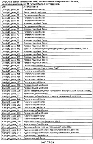 Вакцины и компоненты вакцин для подавления микробных клеток (патент 2528854)