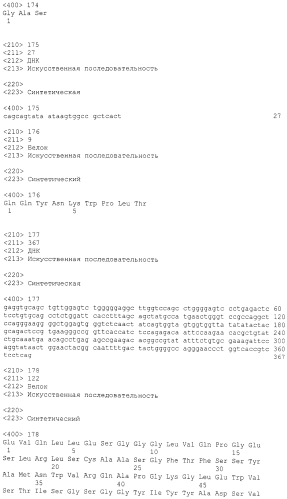 Антитела против gdf8 человека (патент 2567805)