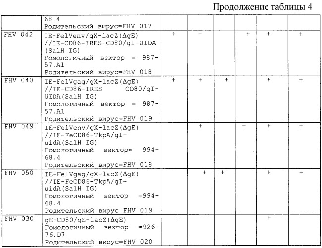 Рекомбинантный вирус, экспрессирующий чужеродную днк, кодирующую кошачий cd80, кошачий ctla-4 или кошачий cd86, и его использование (патент 2244006)