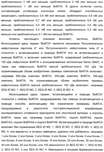 Иммунологические анализы активности ботулинического токсина серотипа а (патент 2491293)