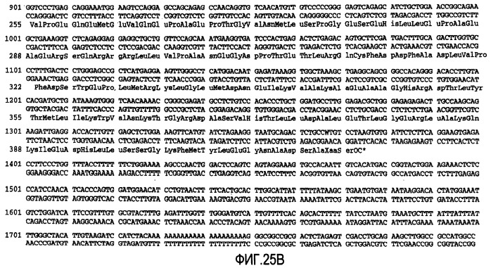 Композиции антител (патент 2426554)