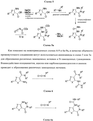 Производные тиофена в качестве ингибиторов снк 1 (патент 2397168)