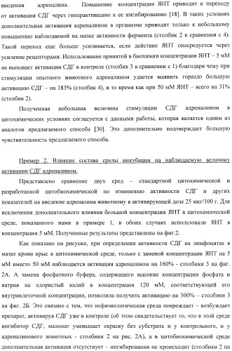 Цитобиохимический способ определения активности сукцинатдегидрогеназы, окисления эндогенной янтарной кислоты, сигнального действия микромолярных концентраций янтарной кислоты, его применение для количественной оценки уровня адренергической регуляции в организме, среда и набор для осуществления способа (патент 2364868)