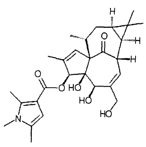 Ингенол-3-ацилаты iii и ингенол-3-карбаматы (патент 2572549)