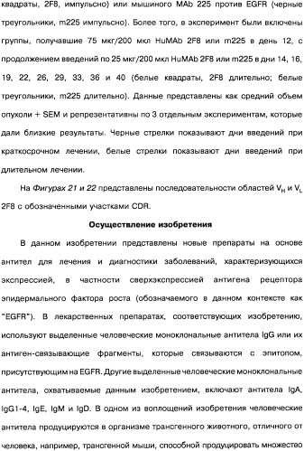 Человеческие моноклональные антитела к рецептору эпидермального фактора роста (egfr), способ их получения и их использование, гибридома, трансфектома, трансгенное животное, экспрессионный вектор (патент 2335507)