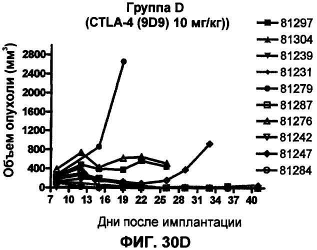 Моноклональные антитела человека к белку программируемой смерти 1 (pd-1) и способы лечения рака с использованием анти-pd-1-антител самостоятельно или в комбинации с другими иммунотерапевтическими средствами (патент 2406760)