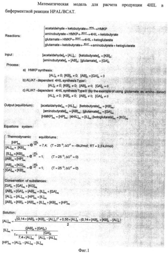 Способ производства 4-гидрокси-l-изолейцина или его соли (патент 2355767)