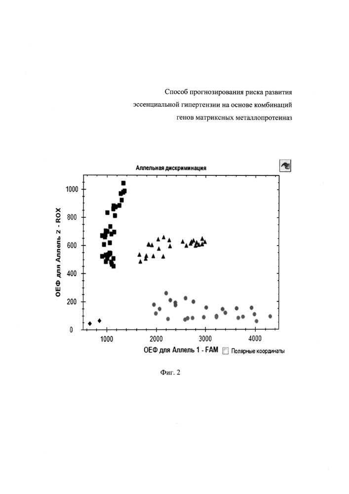 Способ прогнозирования риска развития эссенциальной гипертензии на основе комбинаций генов матриксных металлопротеиназ (патент 2624480)