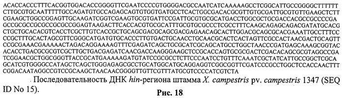 Способ идентификации и дифференциации прокариотических организмов (патент 2486251)
