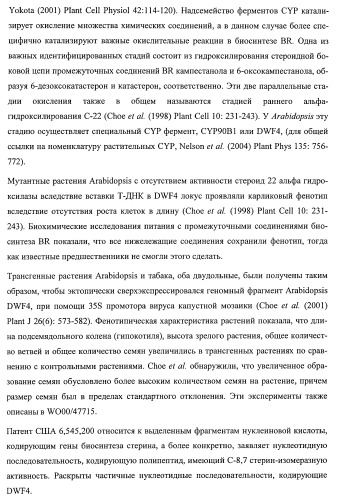 Растения, имеющие улучшенные характеристики роста, и способы их получения (патент 2463352)