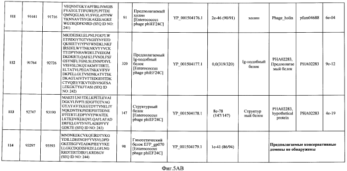 Бактериофаг, обладающий активностью против pseudomonas aeruginosa, белки бактериофага и способы их применения (патент 2580248)