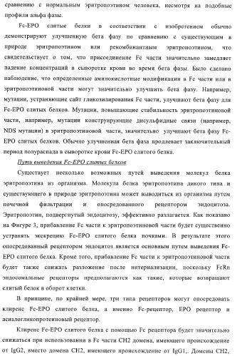 Fc-эритропоэтин слитый белок с улучшенной фармакокинетикой (патент 2370276)