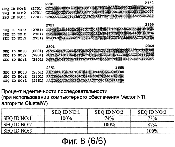 Рекомбинантные вакцины против вируса "синего языка", их применение (патент 2575599)