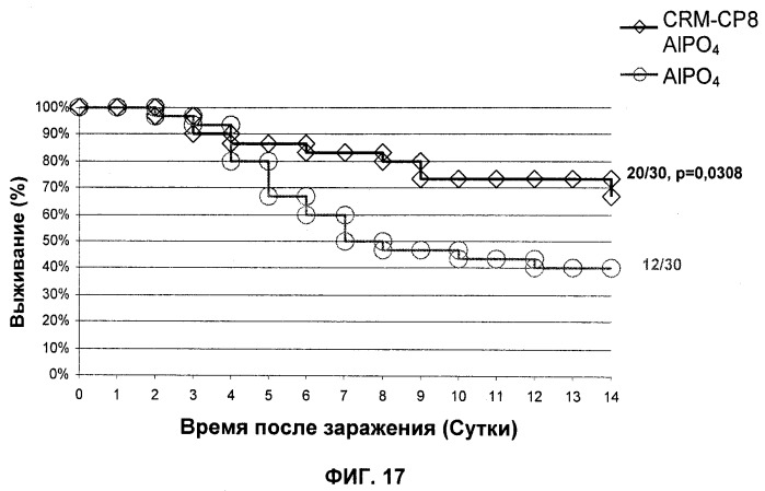 Иммуногенные композиции антигенов staphylococcus aureus (патент 2536981)