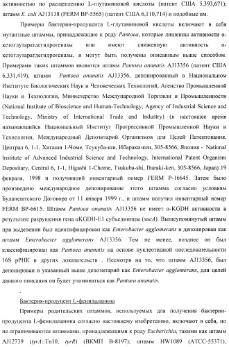 Способ получения l-треонина с использованием бактерии, принадлежащей к роду escherichia, в которой инактивирован ген yncd (патент 2396337)