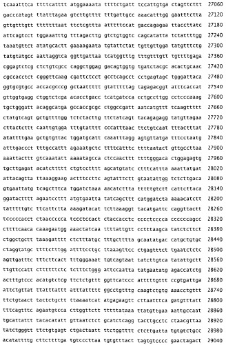 Применение s1p (патент 2362565)
