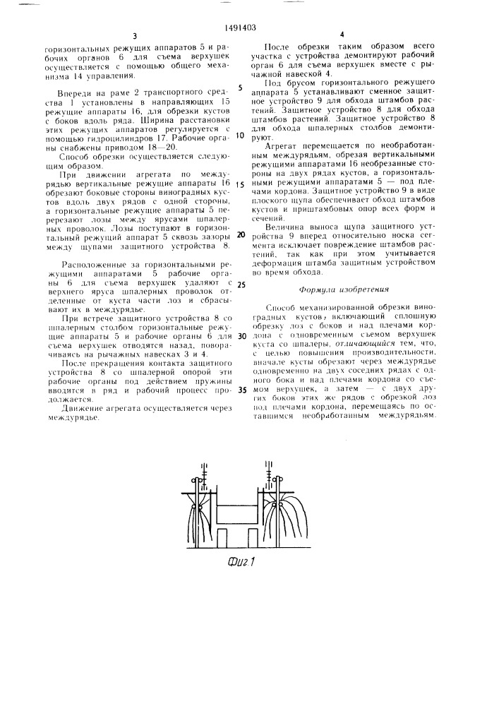 Способ механизированной обрезки виноградных кустов (патент 1491403)