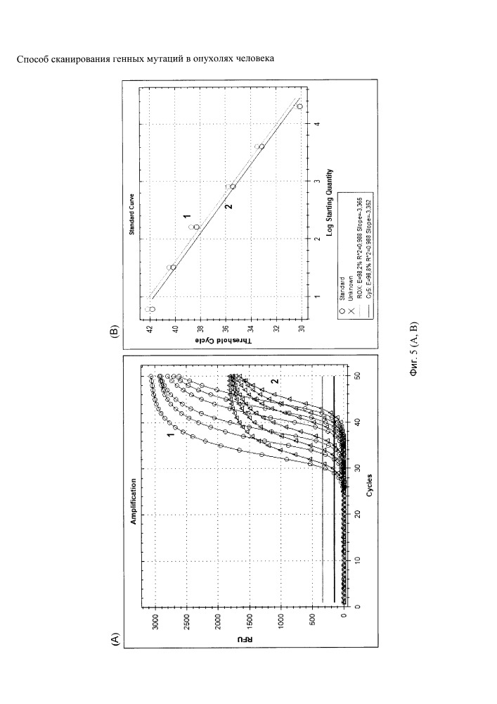 Способ сканирования генных мутаций в опухолях человека (патент 2650862)