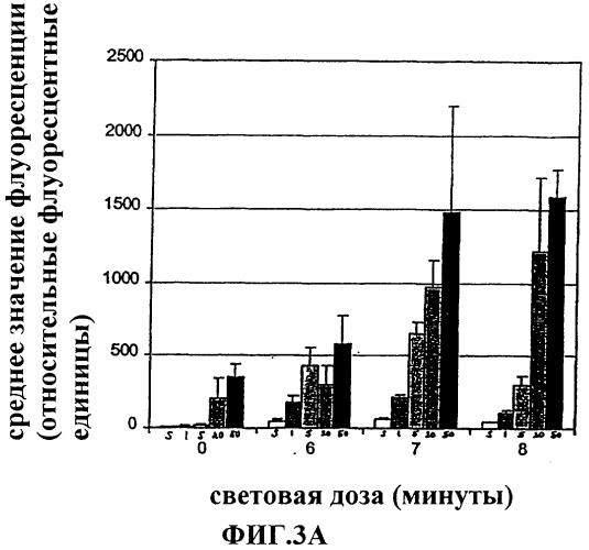 Фотохимическая интернализация для опосредованной вирусом доставки молекулы в цитозоль (патент 2317827)