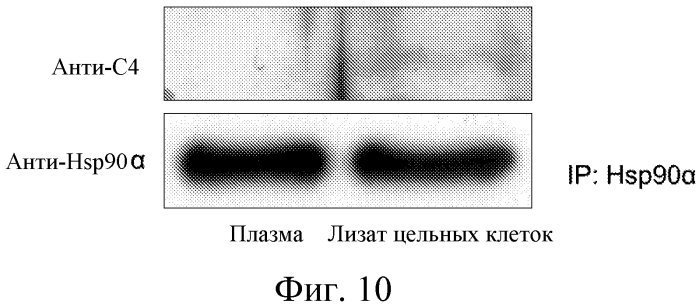 Новый опухолевый биомаркер (патент 2567005)