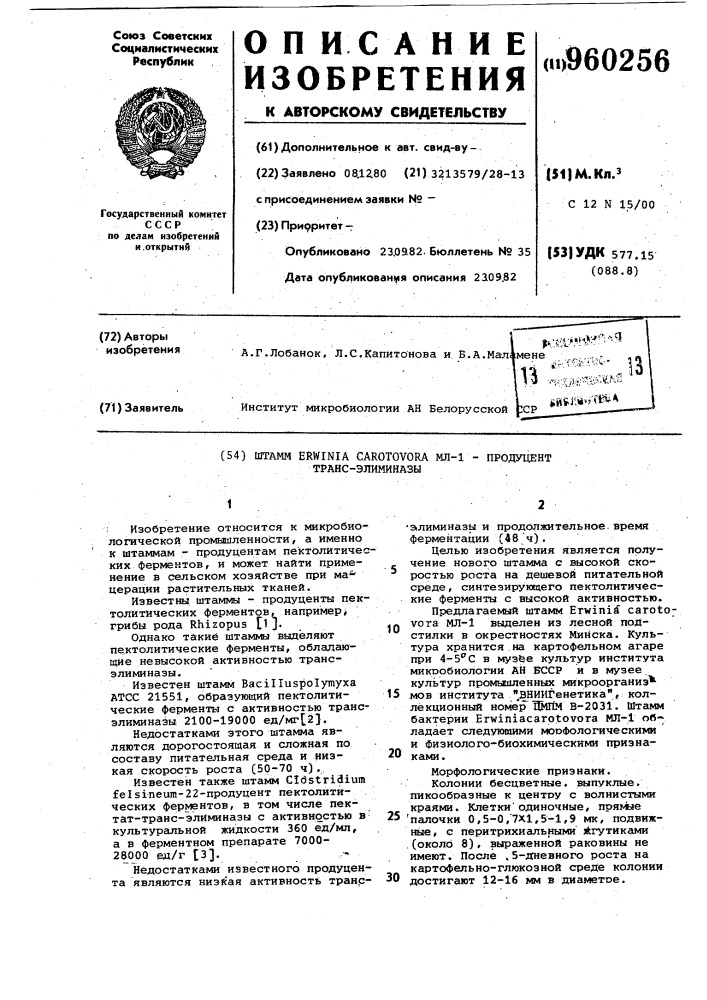 Штамм erwinia саrотоvоrа мл-1-продуцент транс-элиминазы (патент 960256)