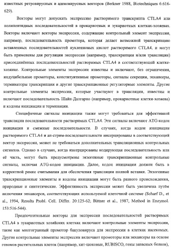 Способ лечения сердечно-сосудистого заболевания с применением растворимого ctla4 (патент 2353384)