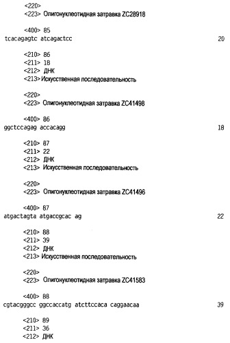 Новый лиганд рецептора цитокина zcytor17 (патент 2360923)