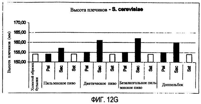 Микробиологически стабилизированное пиво (патент 2380400)