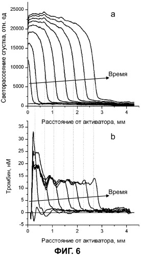 Способ определения пространственно-временного распределения активности протеолитического фермента в гетерогенной системе, устройство для реализации указанного способа и способ диагностики нарушений системы гемостаза по изменению пространственно-временного распределения активности протеолитического фермента в гетерогенной системе (патент 2518247)