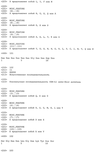 Терапевтические dll4-связывающие белки (патент 2570639)