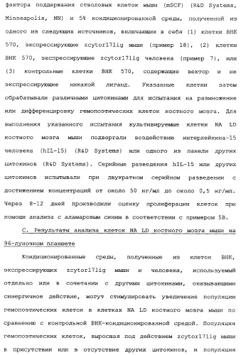 Новый лиганд рецептора цитокина zcytor17 (патент 2360923)