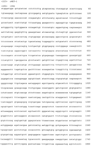 Pscaxcd3, cd19xcd3, c-metxcd3, эндосиалинxcd3, epcamxcd3, igf-1rxcd3 или fap-альфаxcd3 биспецифическое одноцепочечное антитело с межвидовой специфичностью (патент 2547600)