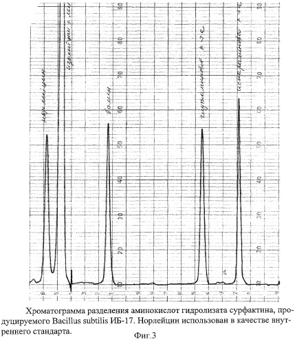 Штамм бактерий b. subtilis - продуцент сурфактина (патент 2270858)