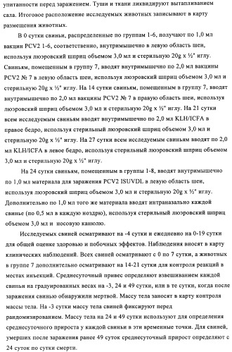 Поливалентные иммуногенные композиции pcv2 и способы получения таких композиций (патент 2488407)