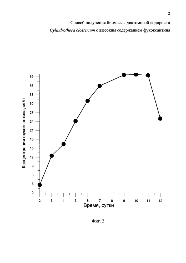 Способ получения биомассы диатомовой водоросли cylindrotheca closterium с повышенным содержанием фукоксантина (патент 2655221)